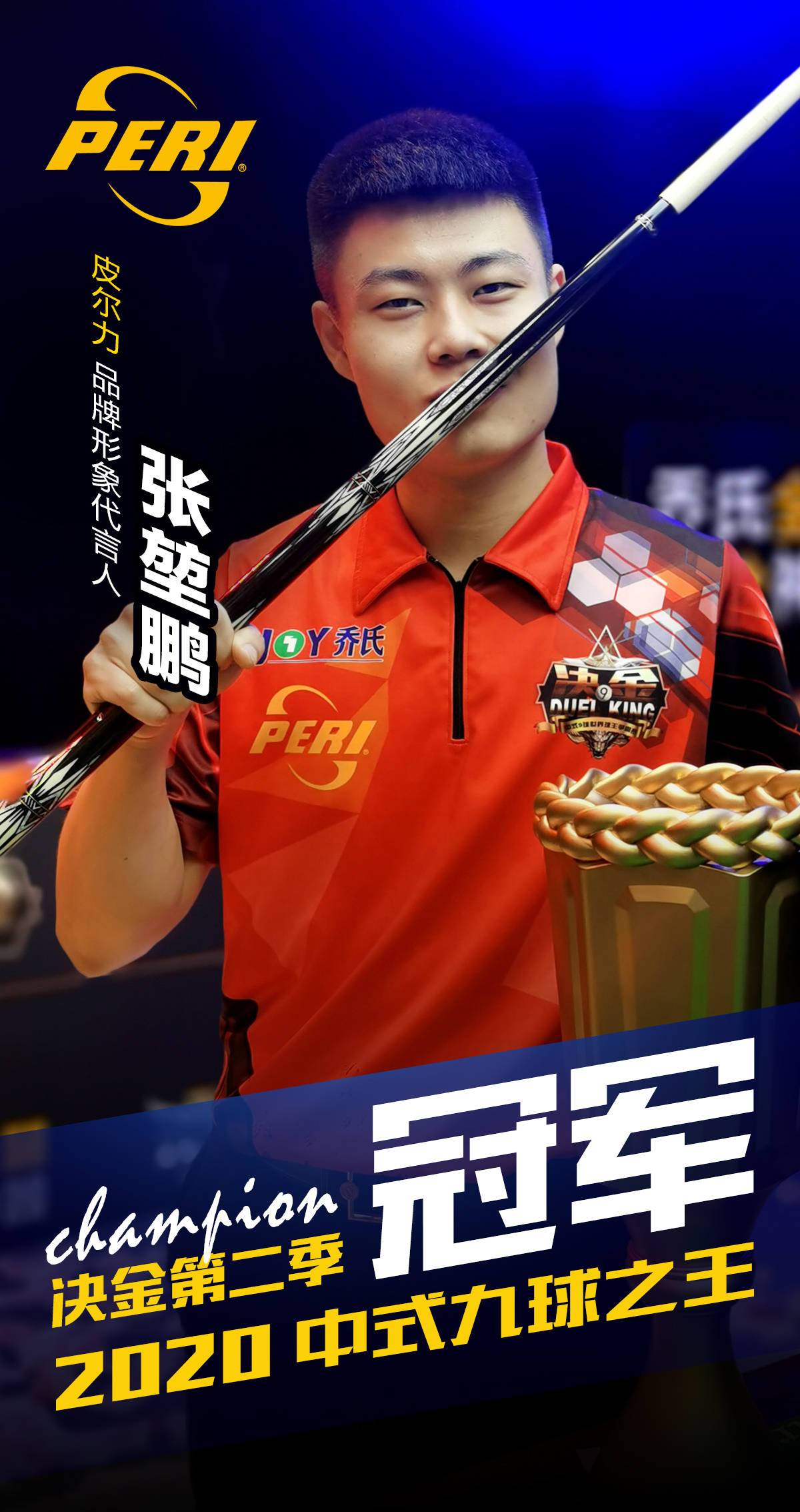 安永佳的表 安永佳的表