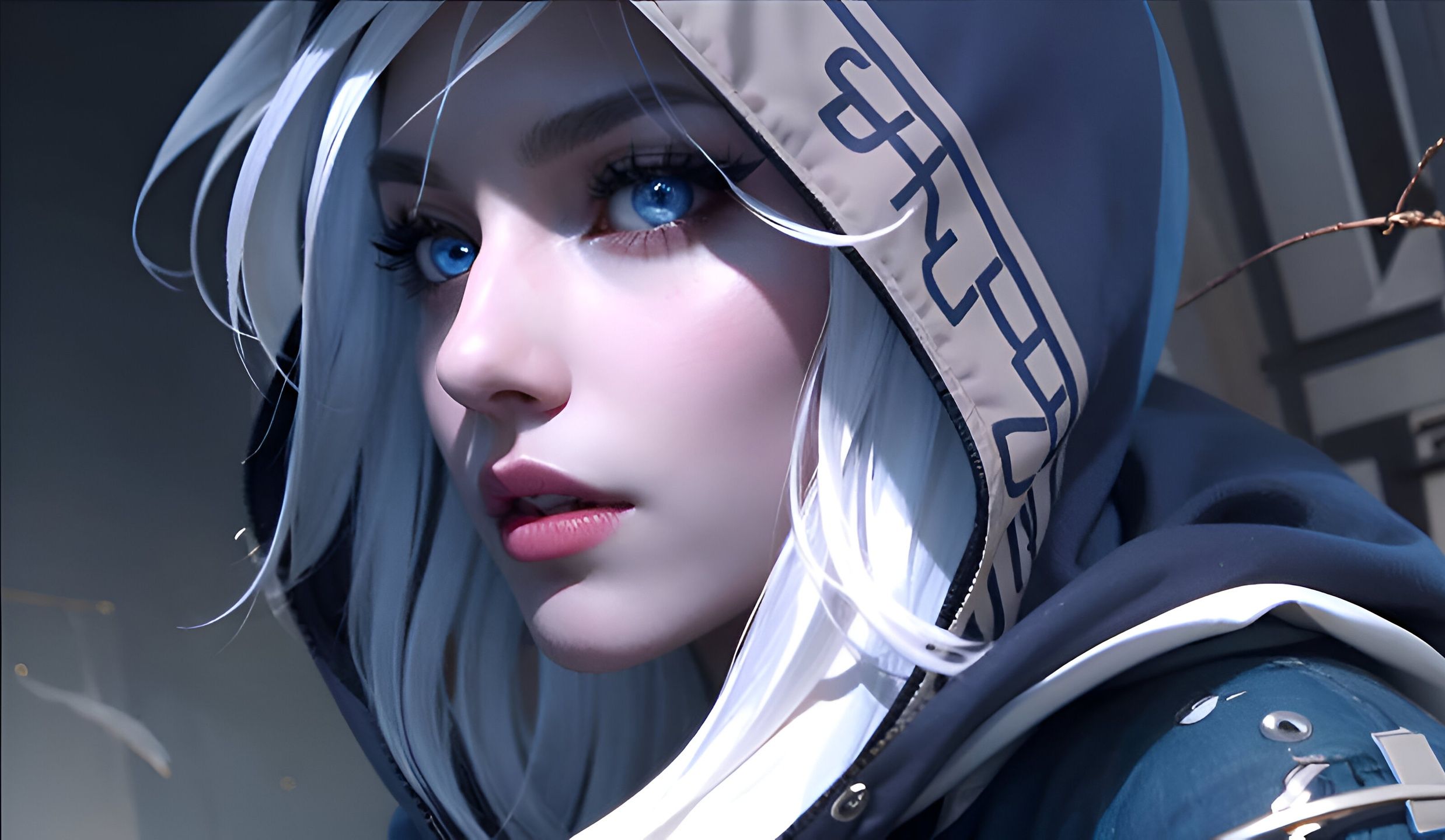 度为球队赋 度为球队赋