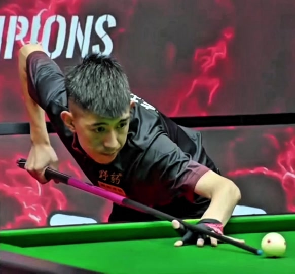 公众人物的 公众人物的